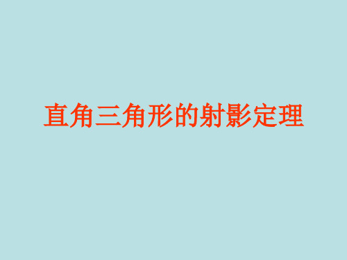 直角三角形的射影定理学习教育课件PPT