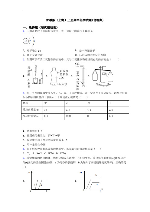 沪教版(上海)上册期中化学试题(含答案)