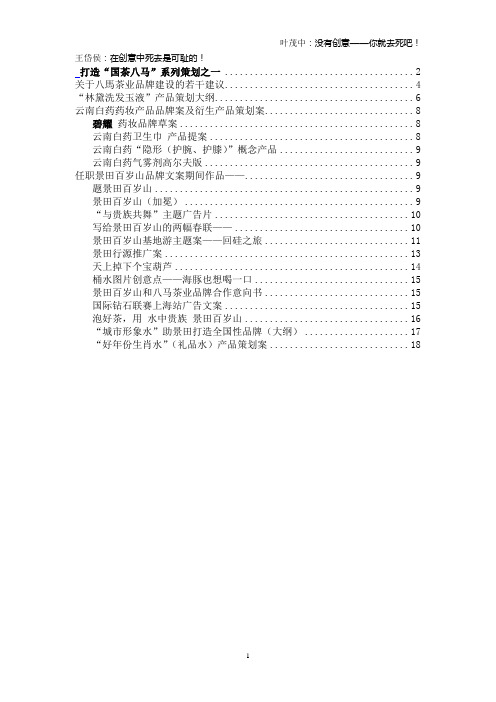 (营销策划)品牌策划作品集