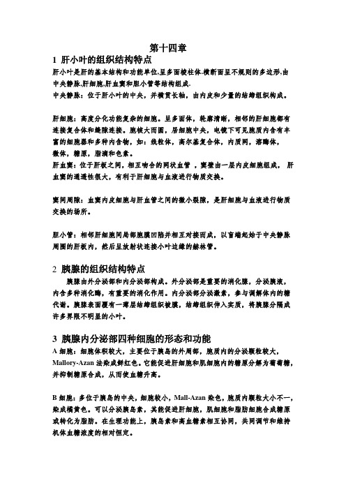 组胚期末复习材料(老师标注下)