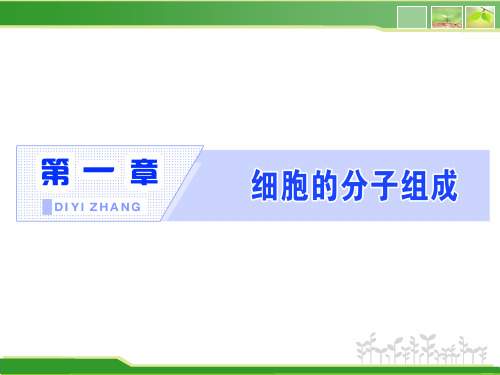 高中生物新浙科版必修1 水和无机盐是构成细胞的重要无机物