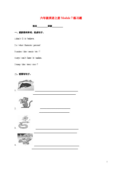 六年级英语上册 Module 7练习题 外研版