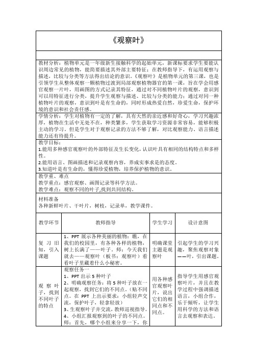 教科版一年级科学上册1.3 观察叶 教案