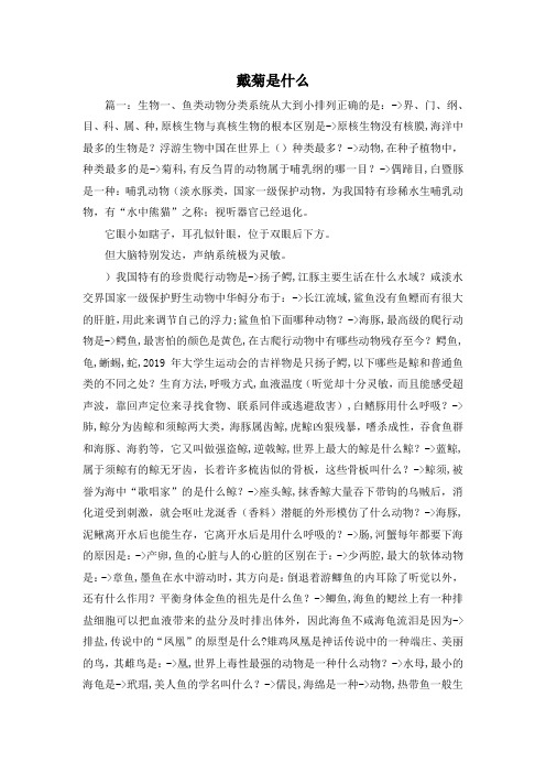 最新-戴菊是什么 精品