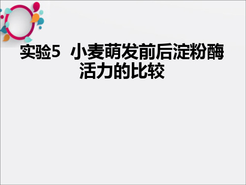 实验5小麦萌发前后淀粉酶活力的比较