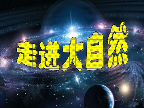 最新粤教版科学一年级上册课件：1.1走进大自然(共2课时)