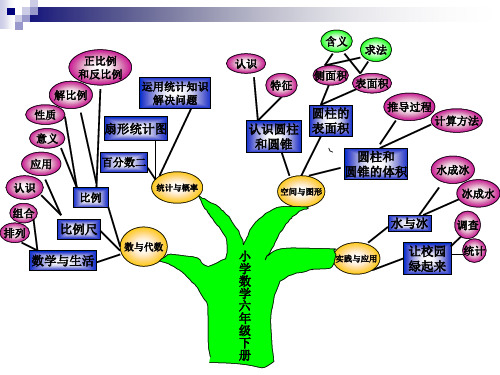 (完整版)六年级数学知识树