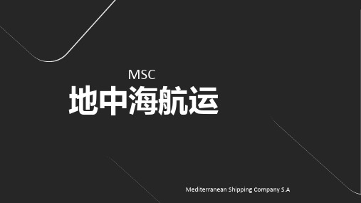 地中海航运公司MSC