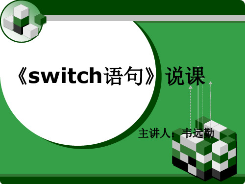 switch语句 ppt