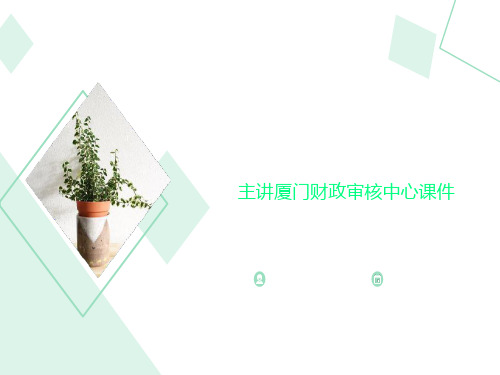 主讲厦门财政审核中心课件