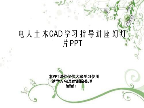 电大土木CAD学习指导讲座幻灯片PPT