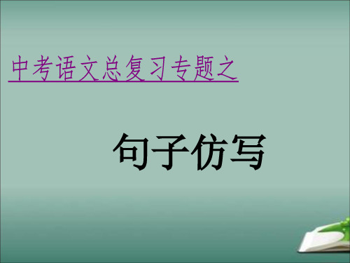 中考语文总复习专题之句子仿写课件PPT