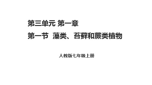 3.1.1藻类、苔藓和蕨类植物课件(29张PPT)2023-2024学年初中生物人教版七年级上册