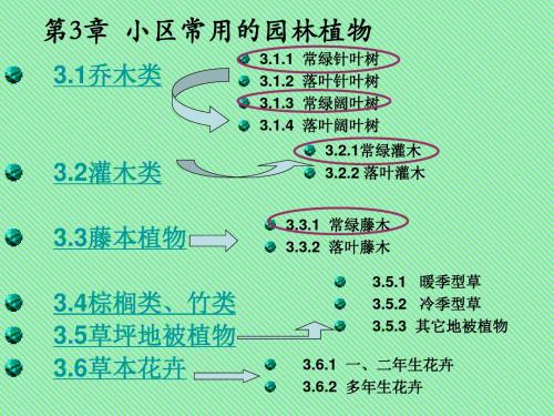 小区常用园林植物