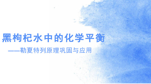 高一化学下《6揭示化学反应速率和平衡之谜6.2反应物如何尽可能转变成生成物...》247沪科课标PPT课件 一等奖