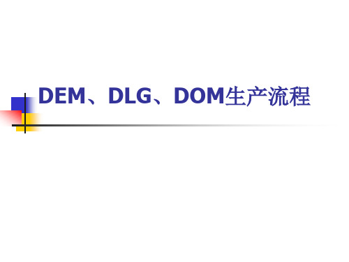 DEMDOMDLG生产流程