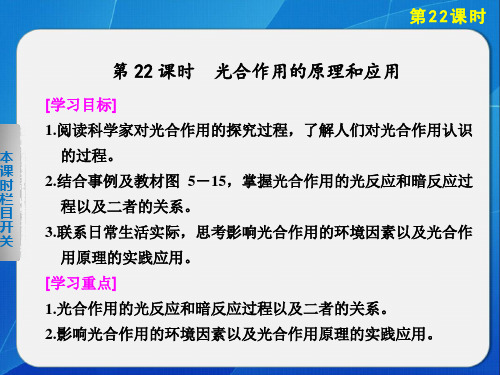 高中生物 人教版必修1 光合作用的原理和应用 课件   (39张)