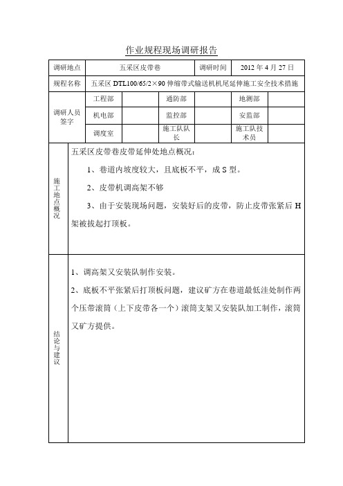 作业规程现场调研报告