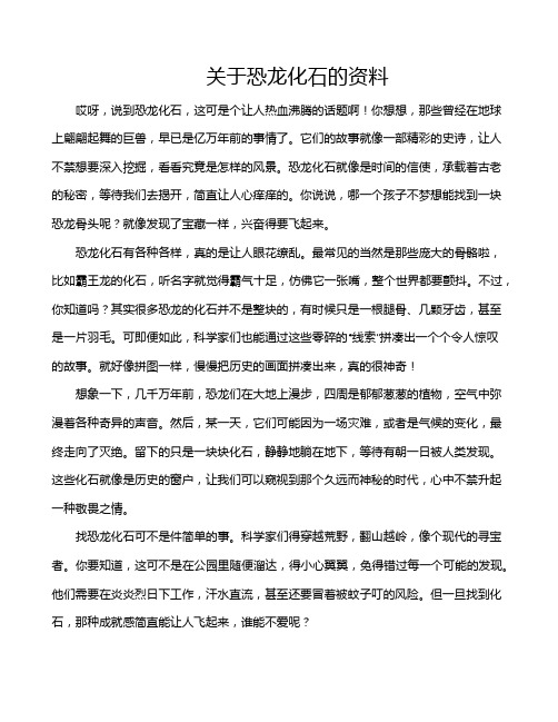 关于恐龙化石的资料