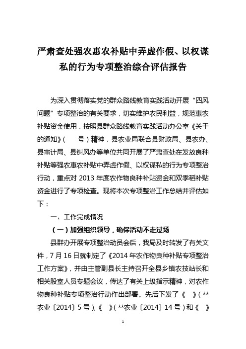 严肃查处强农惠农补贴中弄虚作假行为专项整治综合评估报告