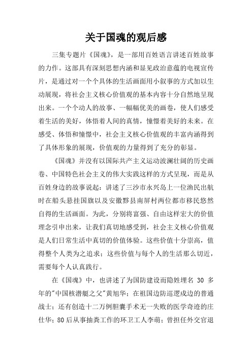 关于国魂的观后感