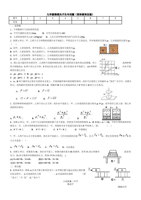 九年级物理尖子生专训题(固体液体压强)