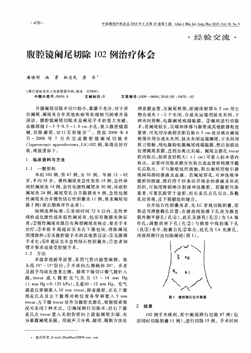 腹腔镜阑尾切除102例治疗体会