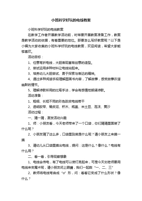 小班科学好玩的电线教案