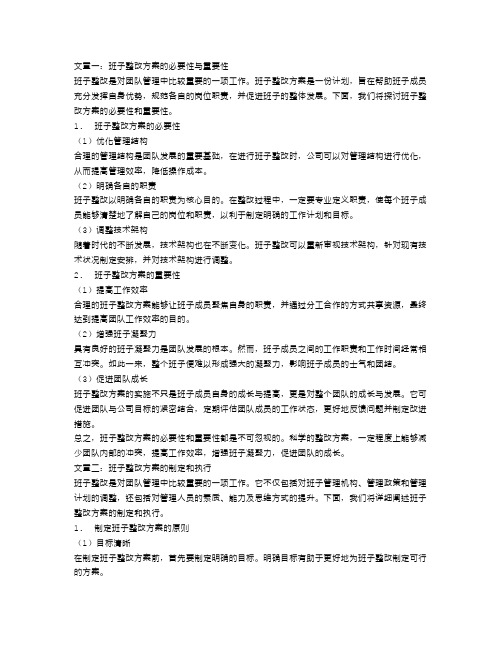 班子整改方案范文3篇