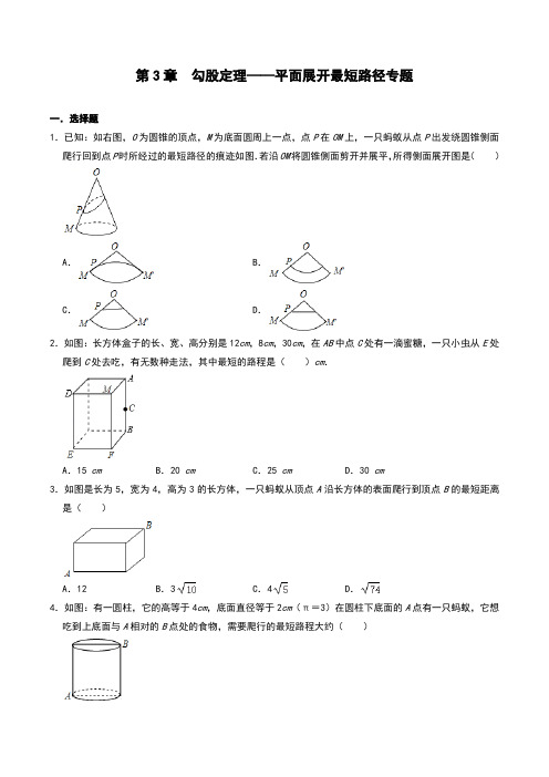 第3章  勾股定理  平面展开最短路径专题习题 2021-2022学年八年级数学苏科版上册