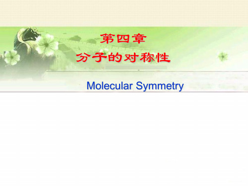 结构化学：分子的对称性