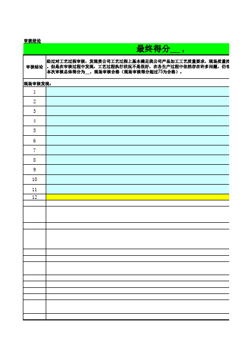 电镀厂QPA审核表--直接使用