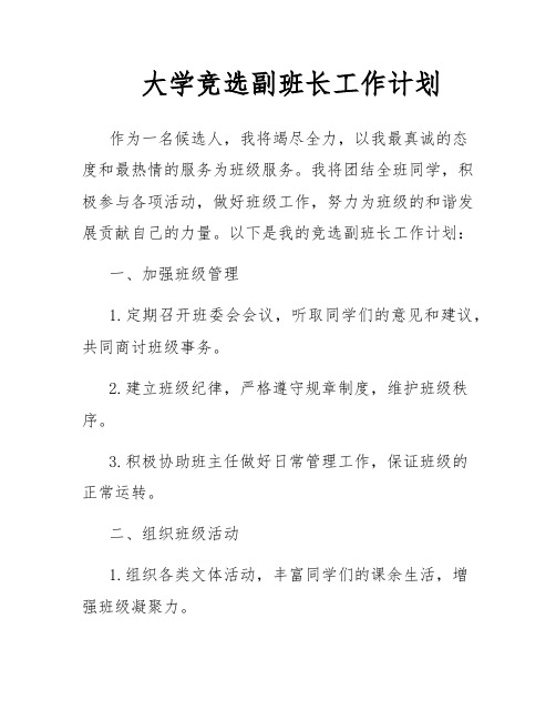 大学竞选副班长工作计划