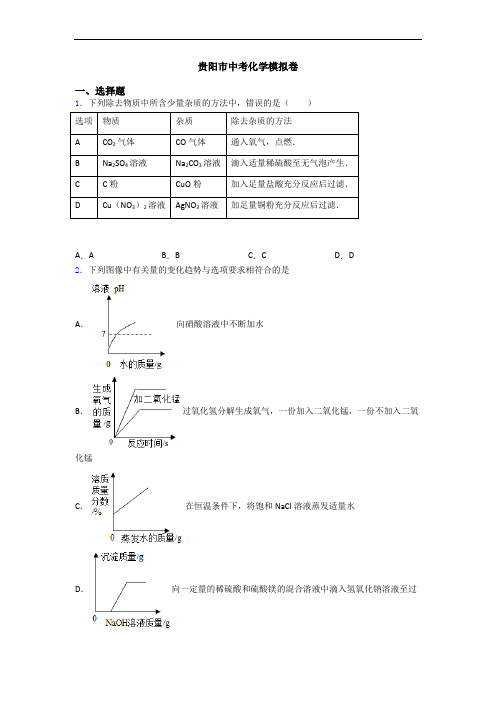 贵阳市中考化学模拟卷