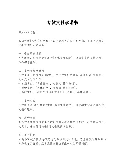 专款支付承诺书