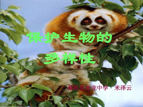 保护生物的多样性公开课