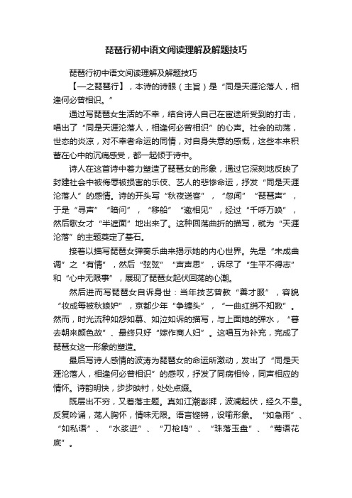 琵琶行初中语文阅读理解及解题技巧