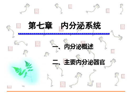 人体解剖学：内分泌系统