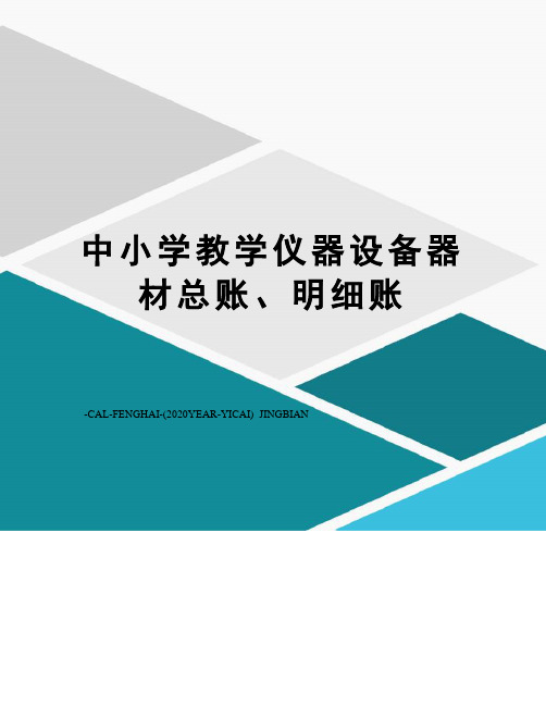 中小学教学仪器设备器材总账、明细账