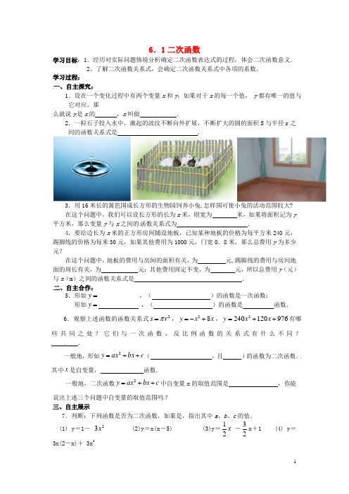 江苏省沭阳县怀文中学九年级数学下册 6.1二次函数导学