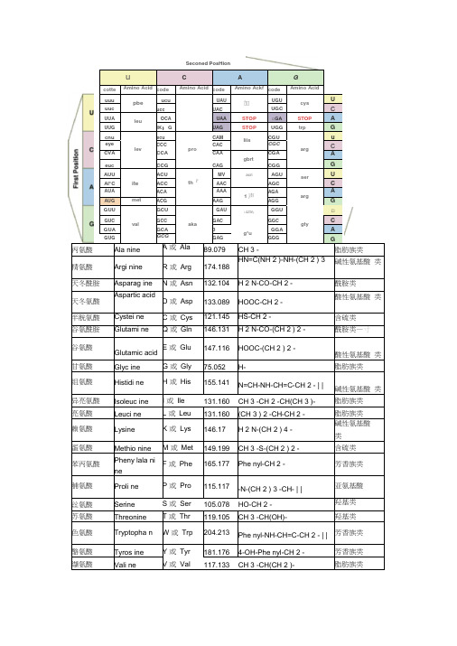 氨基酸密码子对照表