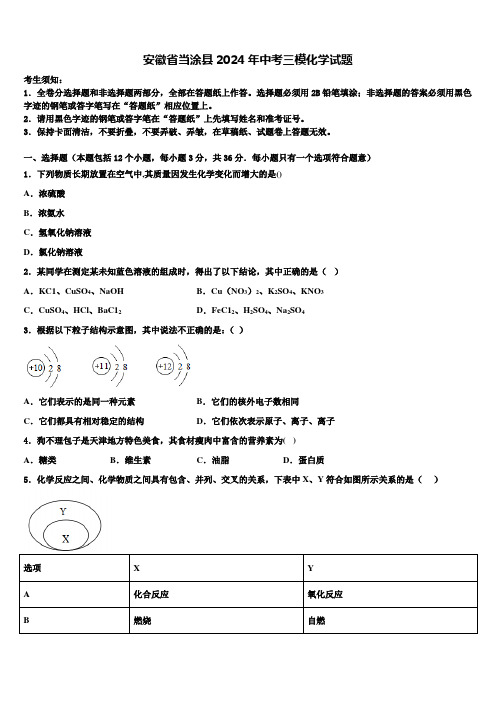 安徽省当涂县2024年中考三模化学试题含解析