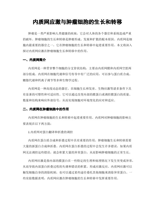 内质网应激与肿瘤细胞的生长和转移