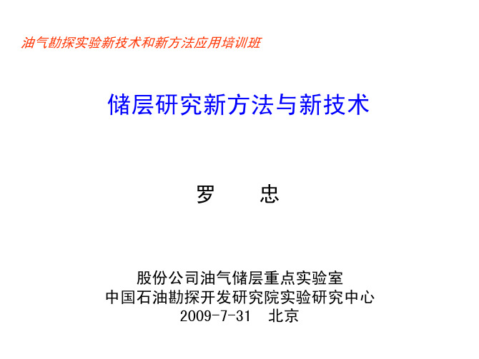 储层研究新方法与新技术