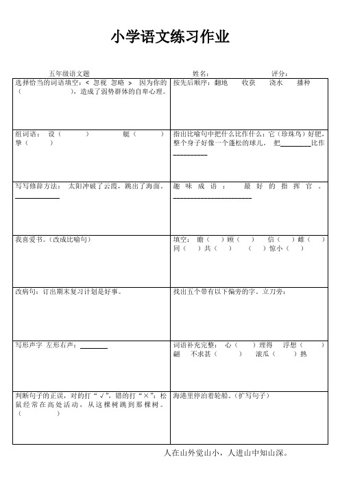 小学五年级语文精题选做IV (89)