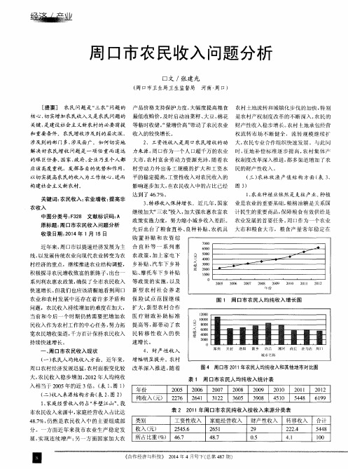 周口市农民收入问题分析