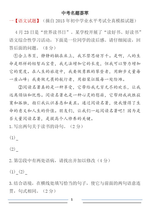 中考试题集锦-语文