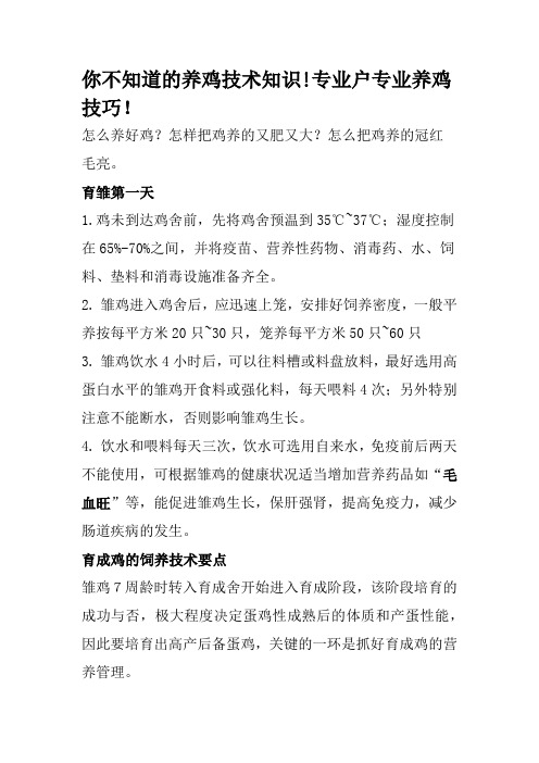 你不知道的养鸡技术知识!专业户专业养鸡技巧!