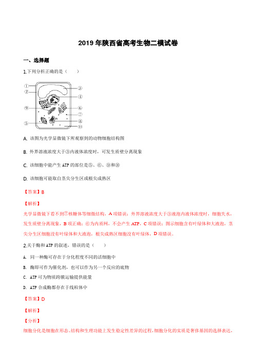 陕西省2019届高三下学期高考二模生物试卷附答案解析