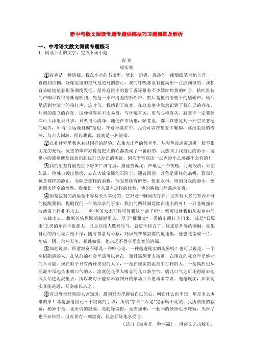 新中考散文阅读专题专题训练技巧习题训练及解析